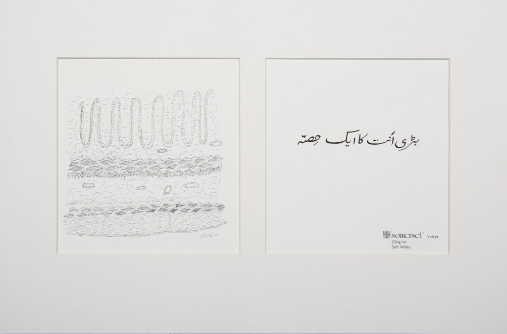 The Word for World is Home, 2019